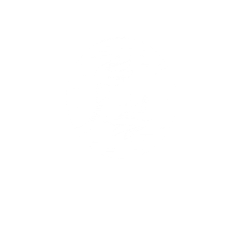 EStech Trust